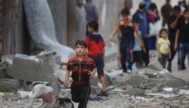 البرلمان الفرنسي يثمن جهود مصر لوقف إطلاق النار في غزة