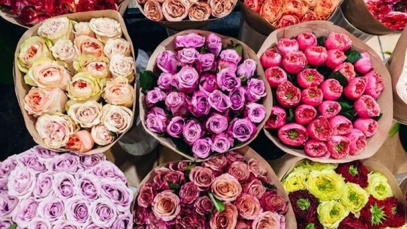 أنواع الورود في عيد الحب.. معاني وتأثيرات رومانسية
