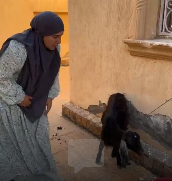 شاهد بالفيديو.. سمر نديم تشكر أهل الخير على الهدايا التى وصلت دار زهرة مصر على الهواء مباشرة