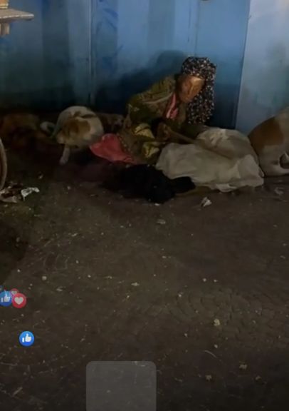 سمر نديم تنقذ سيدة مشردة جديدة من شوارع القاهرة وتنقلها إلى دار زهرة مصر