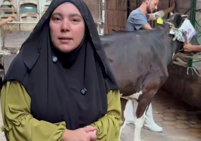 سمر نديم تذبح عجل صدقة على روح والدها وتوزعه على الأسر المتعففة